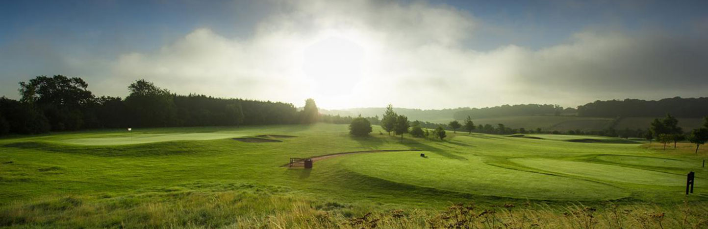 Chesfield Downs