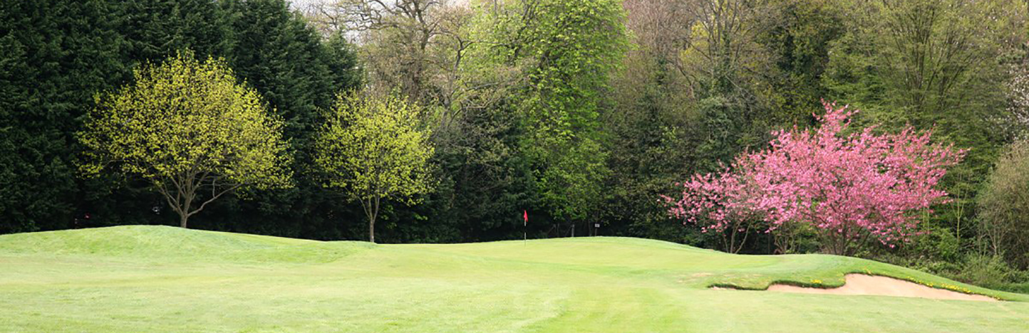 Shendish Manor